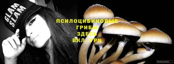 apvp Балабаново
