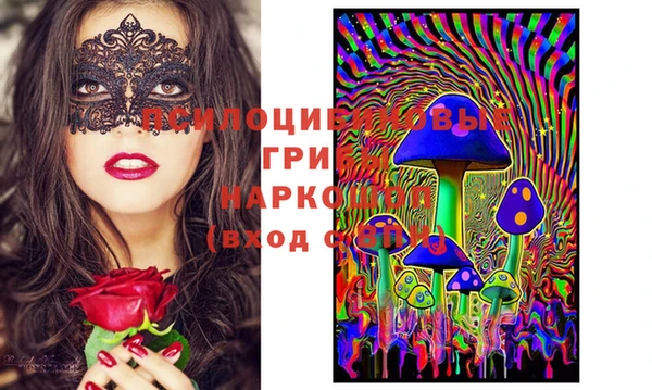 apvp Балабаново