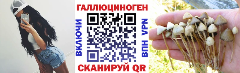 Псилоцибиновые грибы Psilocybine cubensis  Купить где  Нижняя Тура 